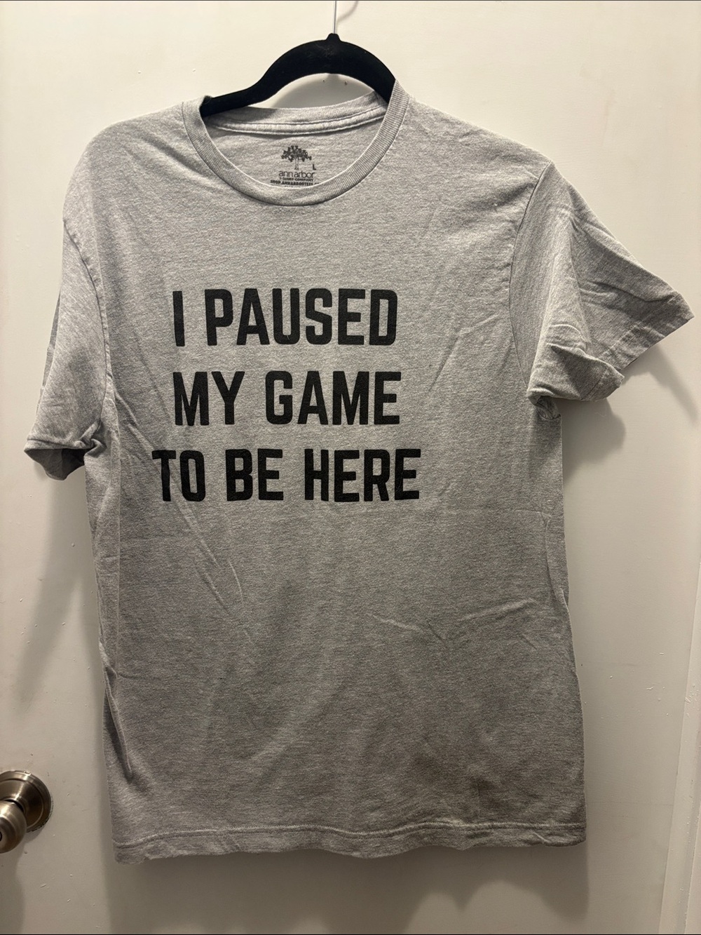 Ann Arbor “I Paused My Game To Be Here” Gray Graphic Tee